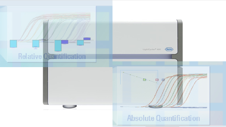 PCR quantitative en temps réel
